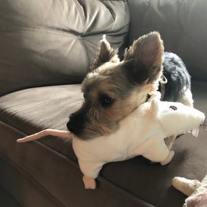 Meet your Posher, John